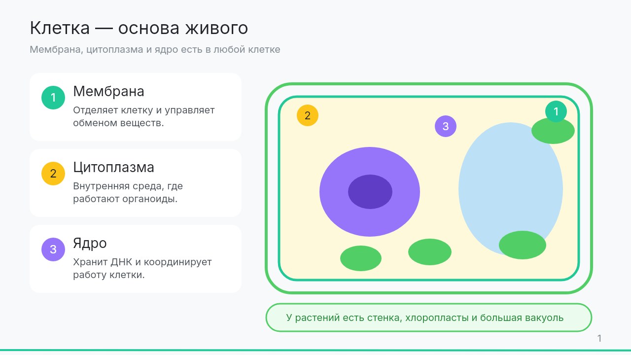 Слайд 1 презентации &laquo;Строение клетки&raquo;, созданной в Manus